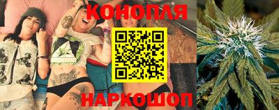 прущая мука Ачхой-Мартан