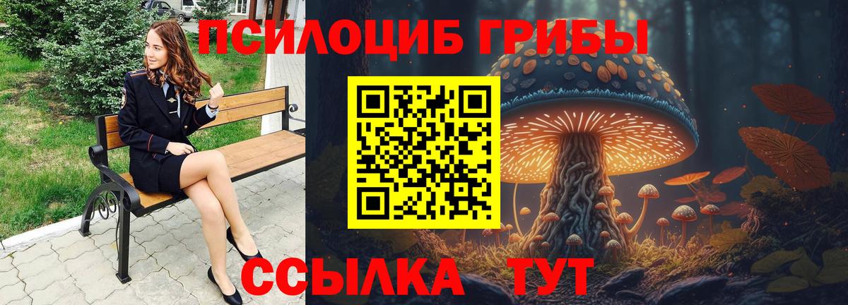 Сердобск  Галлюциногенные грибы Cubensis  Вход с VPN 
